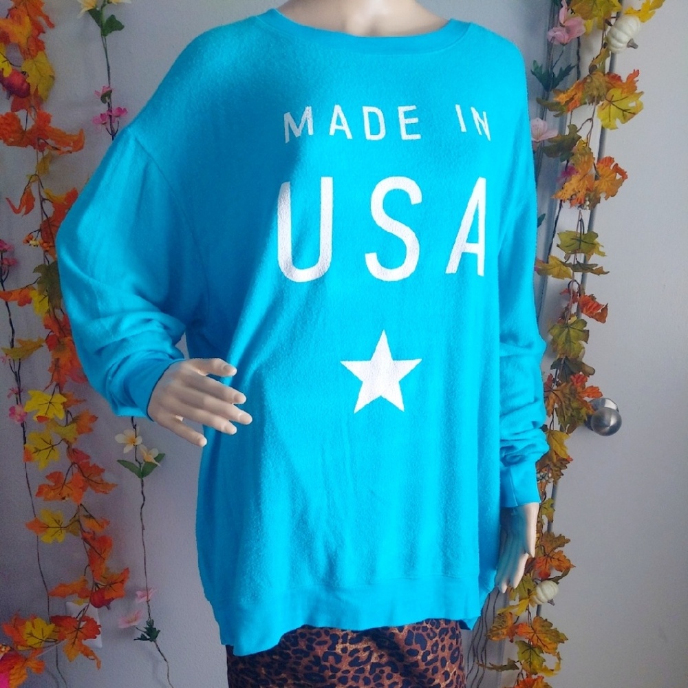 WILDFOX SWEATSHIRT OVERSIZED BAGGIE VINTAGE